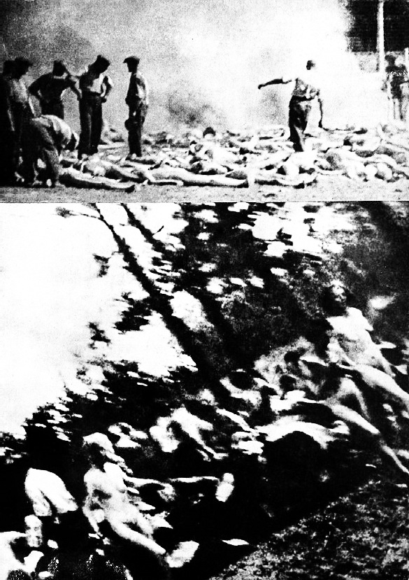 Uit de bunkers gehaald