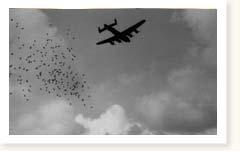 RAF Bomber Command Lancasters Operation Manna day 5 Waalhaven