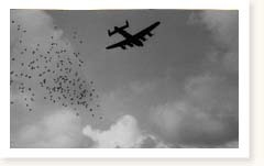 RAF Bomber Command Lancasters Operation Manna day 10 Waalhaven