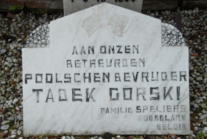 1st Polish Armoured Division liberation of Alphen