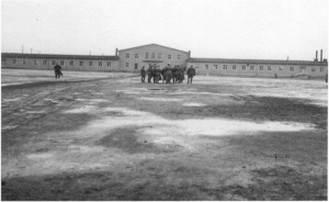 8 Hussars liberated the POW camp, Stalag XI B