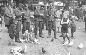 53rd (Welsh) Infantry Division (UK) fought to release 's-Hertogenbosch day 1